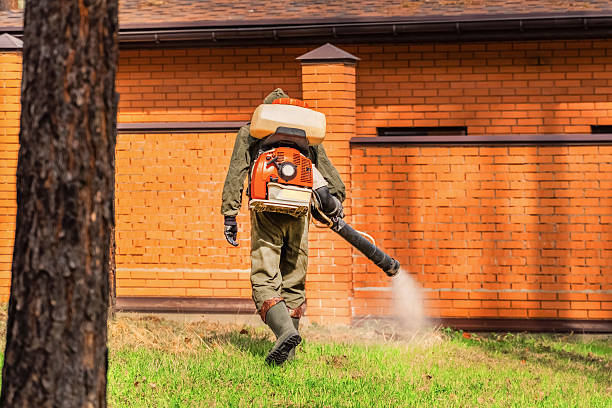Trusted Rodent Control service in Wailuku, HI - Nex Pest Control